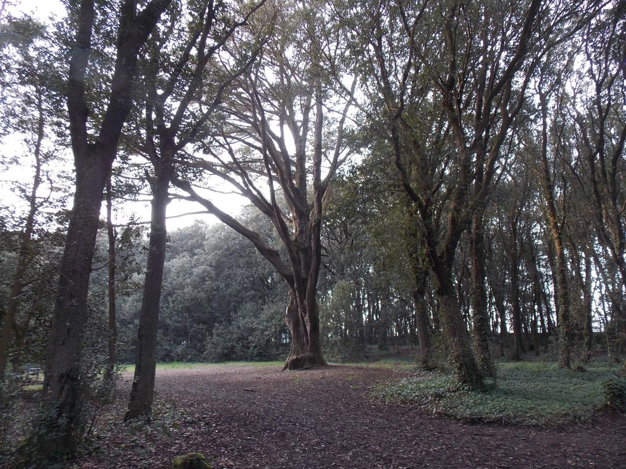 est-ainsi que les hommes vivent?