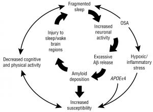 ALZHEIMER: Un sommeil perturbé précède son arrivée – JAMA Neurology