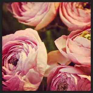 9e2b712c94c011e2968922000a9f38c5_6