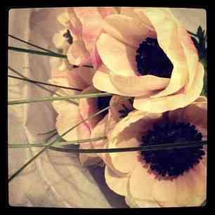 8504429e93e611e2ac8a22000a9e2947_6