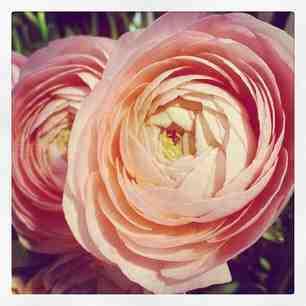 223a4d7e93e711e2a67a22000a9f3cad_6