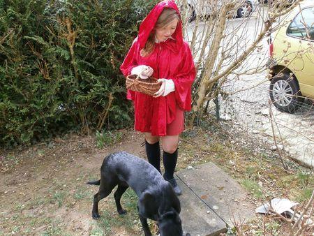 Mais où est le grand méchant loup ? P3230093-1