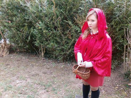 Mais où est le grand méchant loup ? P3230091-1