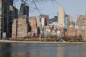 Roosevelt Island 1