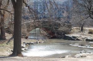 Central Park 