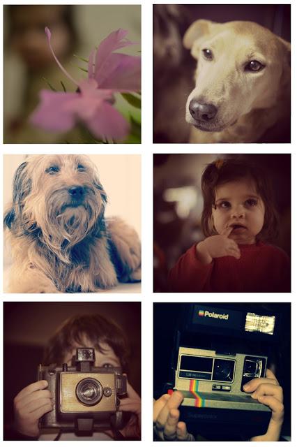 Notre quotidien ^^ semaine 12