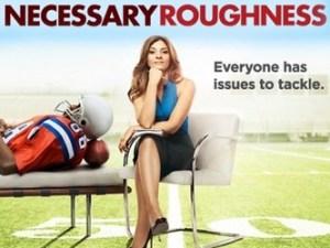 necessary_roughness-show