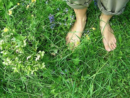 pieds-nus.jpg