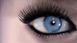 Volum' Express The Rocket