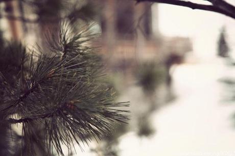 VAL D'ISERE #1 VAL D'ISERE #1