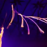 L’équilibre stupéfiant