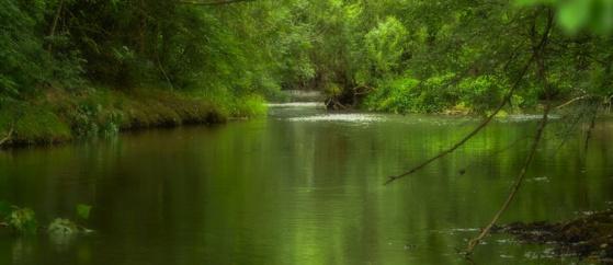 Une Apps iPhone pour découvrir la qualité de la rivière près de chez vous...