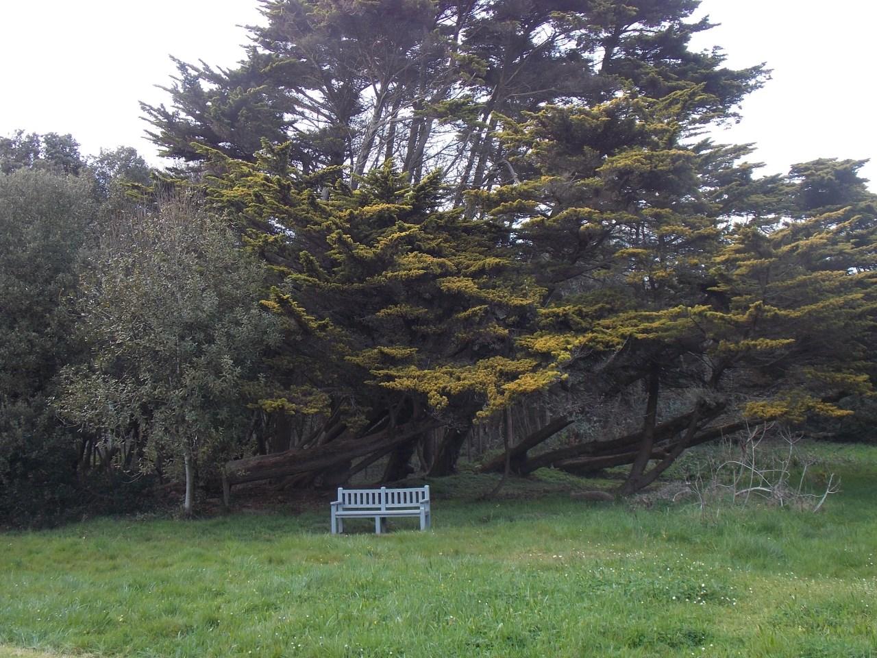 arpenteur de l'imaginaire