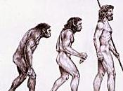Evolution humaine