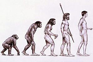 evolution-homme.jpg