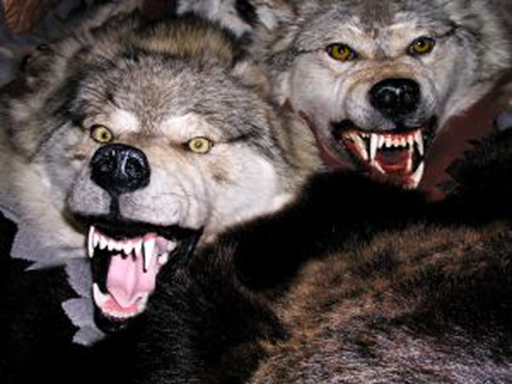 Le loup et l'antisémite. Ésope revisité.