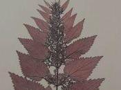 "Come girl. Don't cry."