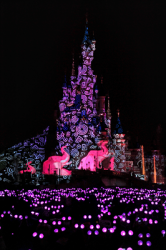 Spectacle Disney Dreams ! : Disney Light’Ears Rose
