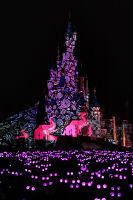 Spectacle Disney Dreams ! : Disney Light’Ears Rose