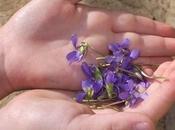 #fmsphotoaday March Pair