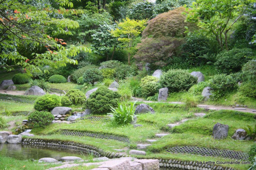 365 photos: le temps d’une balade en fôret !