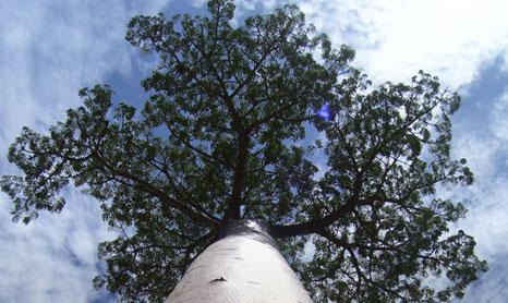 journee beaute durable