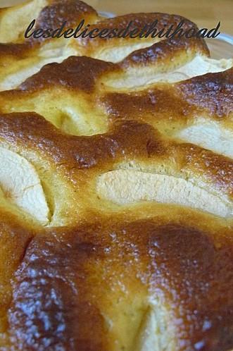 gâteau au fromage blanc vanillé et aux pommes P1180224.JPG