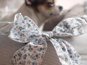 Candy Maison Doux House Louisdog pour chiens