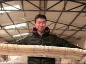 Paper nous fait découvrir sculptures papier Hongbo