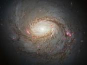 galaxie Messier photographiée avec splendeur Hubble