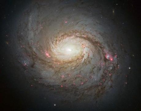 Messier 77 (M 77), galaxie très lumineuse et active dépeinte par Hubble