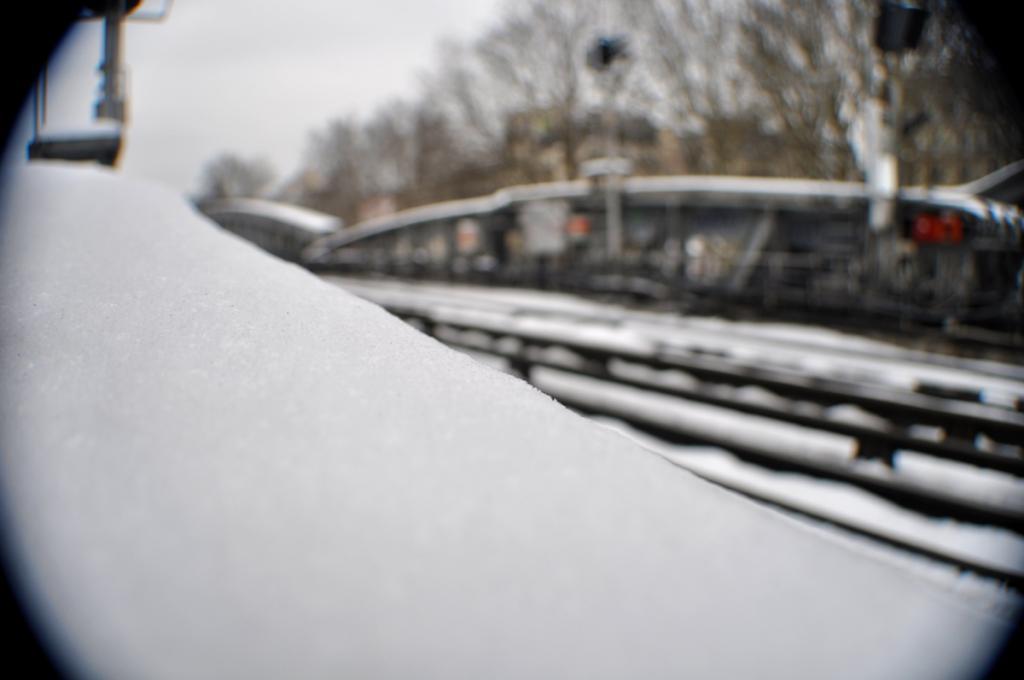  photo DSC_0095_zps01fcb4ba.jpg