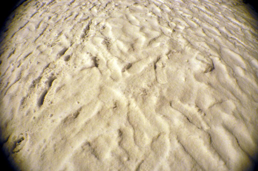  photo DSC_0333_zpse1d55eae.jpg