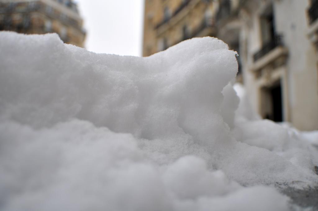  photo DSC_0360_zps6af8df75.jpg