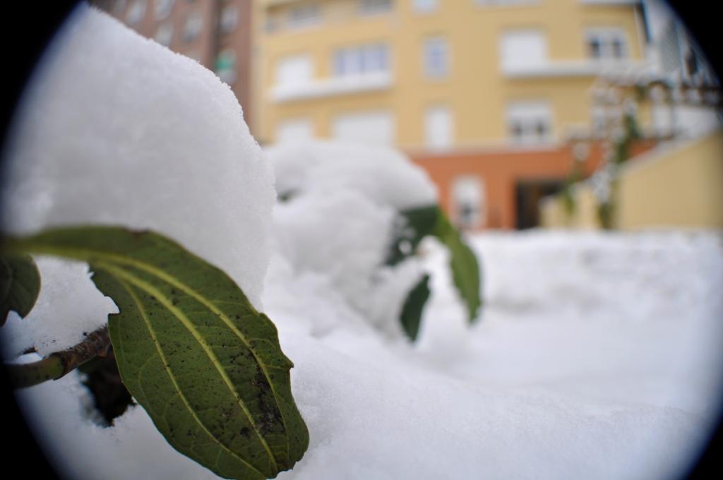  photo DSC_0338_zps73903de3.jpg