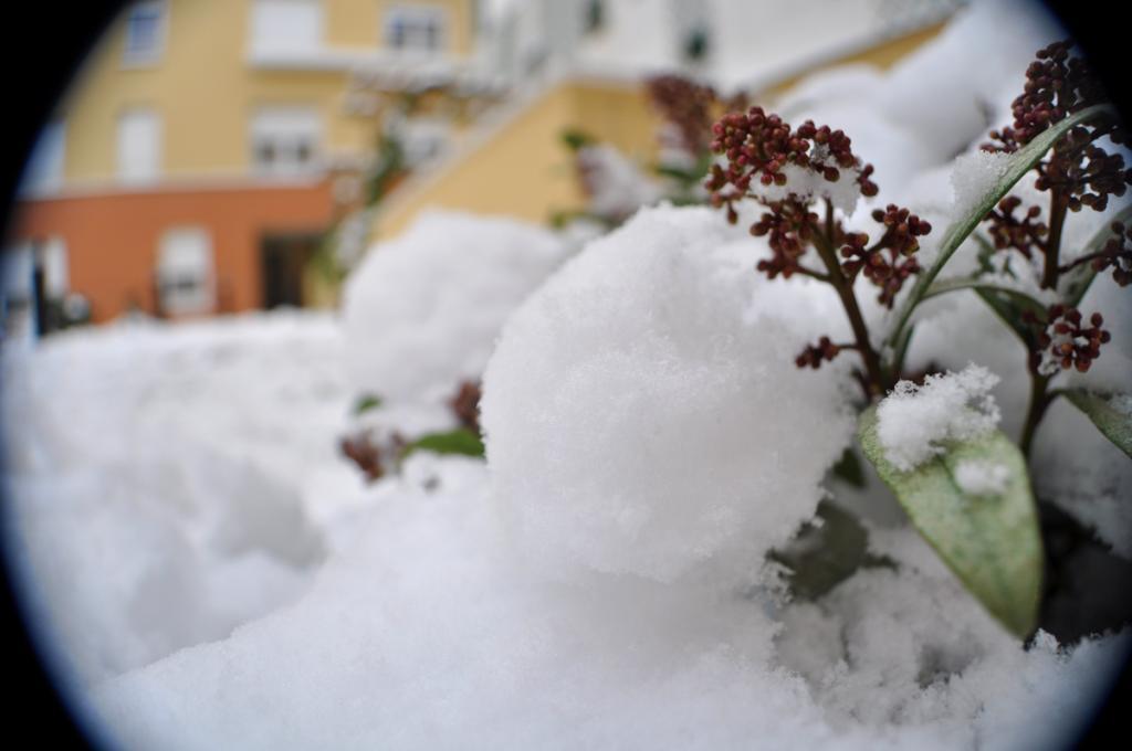  photo DSC_0339_zps38b88643.jpg