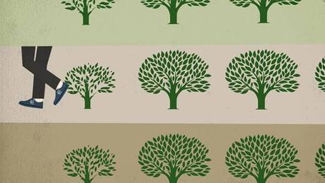 » Buy a Shoe, Plant a Tree »