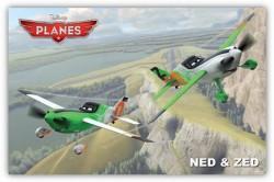 Ned & Zed - Planes de Disney