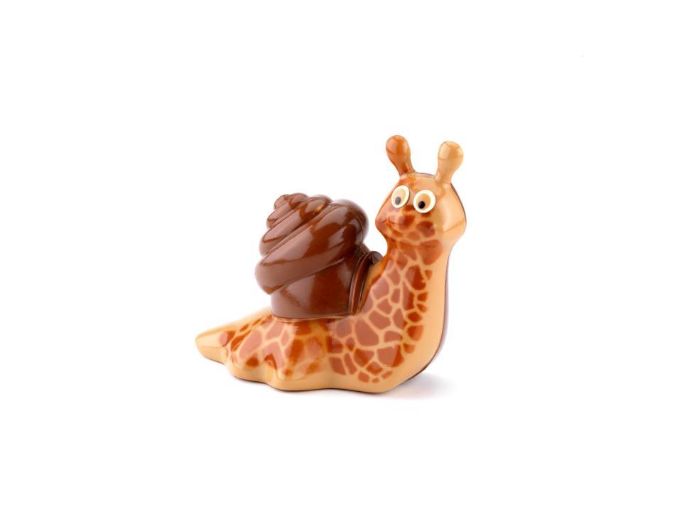 La drôle de girafe par Fabrice Gillote