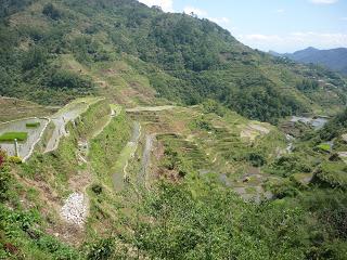 08 | Rizières en terrasses des cordillères des Philippines
