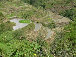 08 | Rizières en terrasses des cordillères des Philippines