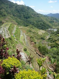 08 | Rizières en terrasses des cordillères des Philippines