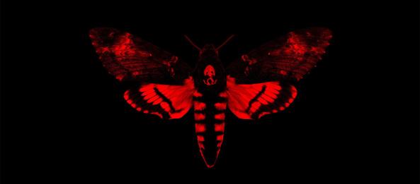 lil-wayne-i-am-not-a-human-being2