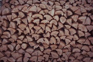 C'est bientôt le printemps