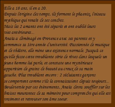 Phaenix, tome 1 : Les cendres de l'oubli