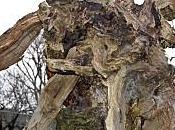 Sortie théâtre perspective