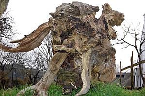 Belle Ile février (91) [1600x1200]