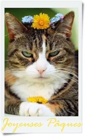 Joyeuses pâques