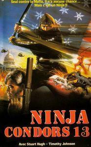 Les films à venir sur Naveton Cinéma ninja c