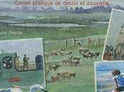 baie Somme environs Dominique Darras